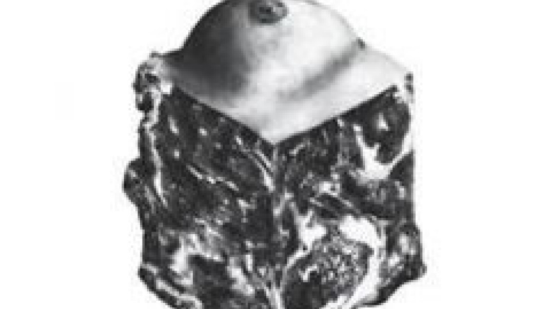 "Transgender Dysphoria Blues" Against Me! już w sklepach