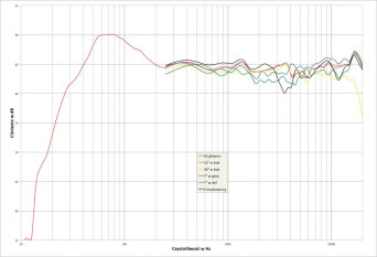 Rys. 2. Dynaudio C4 Platinum - Charakterystyka przetwarzania w całym pasmie akustycznym, na różnych osiach.