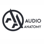 Audio Anatomy