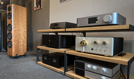 Odsłuchy kolumn Vienna Acoustics Beethoven Concert Grand w salonie Q21