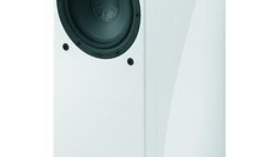 GermanMaestro MS F-One