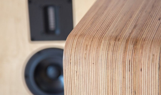 AVcon Avalanche Reference Monitor w salonie Q21