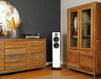 Kolumny głośnikowe ELAC Vela FS 408