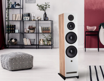 Davis Acoustics Krypton 10 - kolumny do dużych pomieszczeń