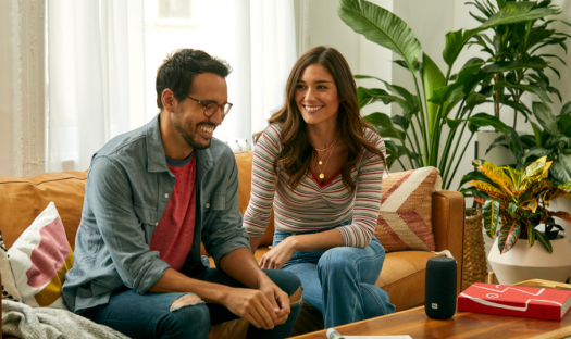 Głośnik przenośny JBL Link Portable