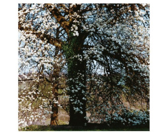 Beethoven: Diabelli-Variationen