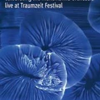 Celebrating The Mahavishnu Orchestra