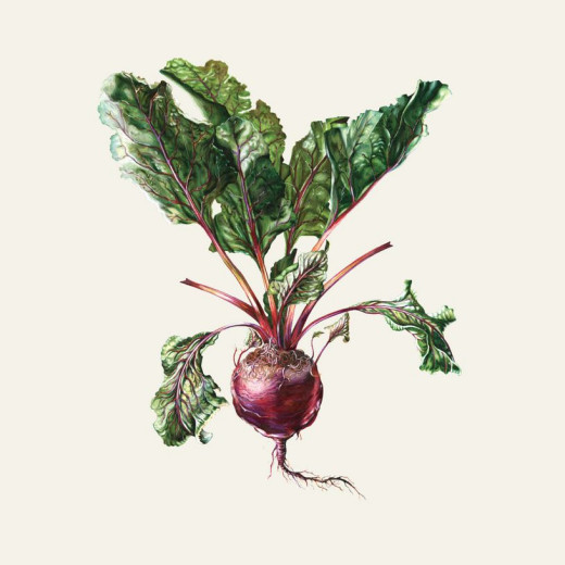 Czesław Śpiewa &amp; Arte dei Suonatori