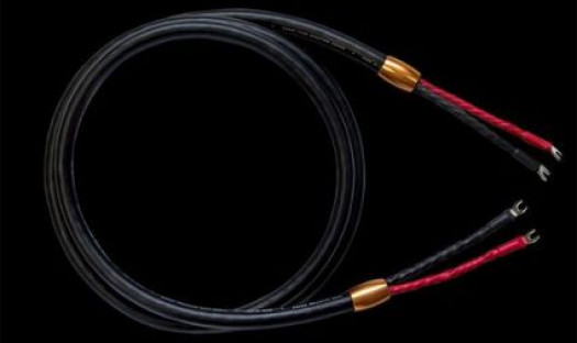 Cardas Clear reflection Speaker