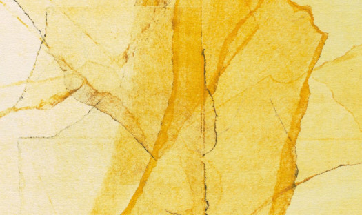 Central Park’s Mosaics