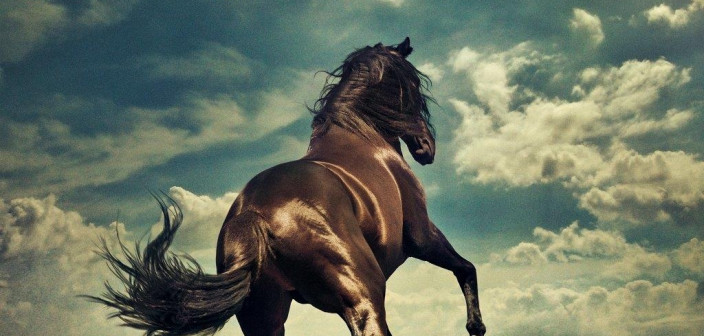  "Western Stars": Nowa płyta Bruce'a Springsteena już w czerwcu