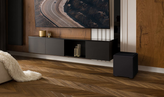 DEFINITIVE TECHNOLOGY