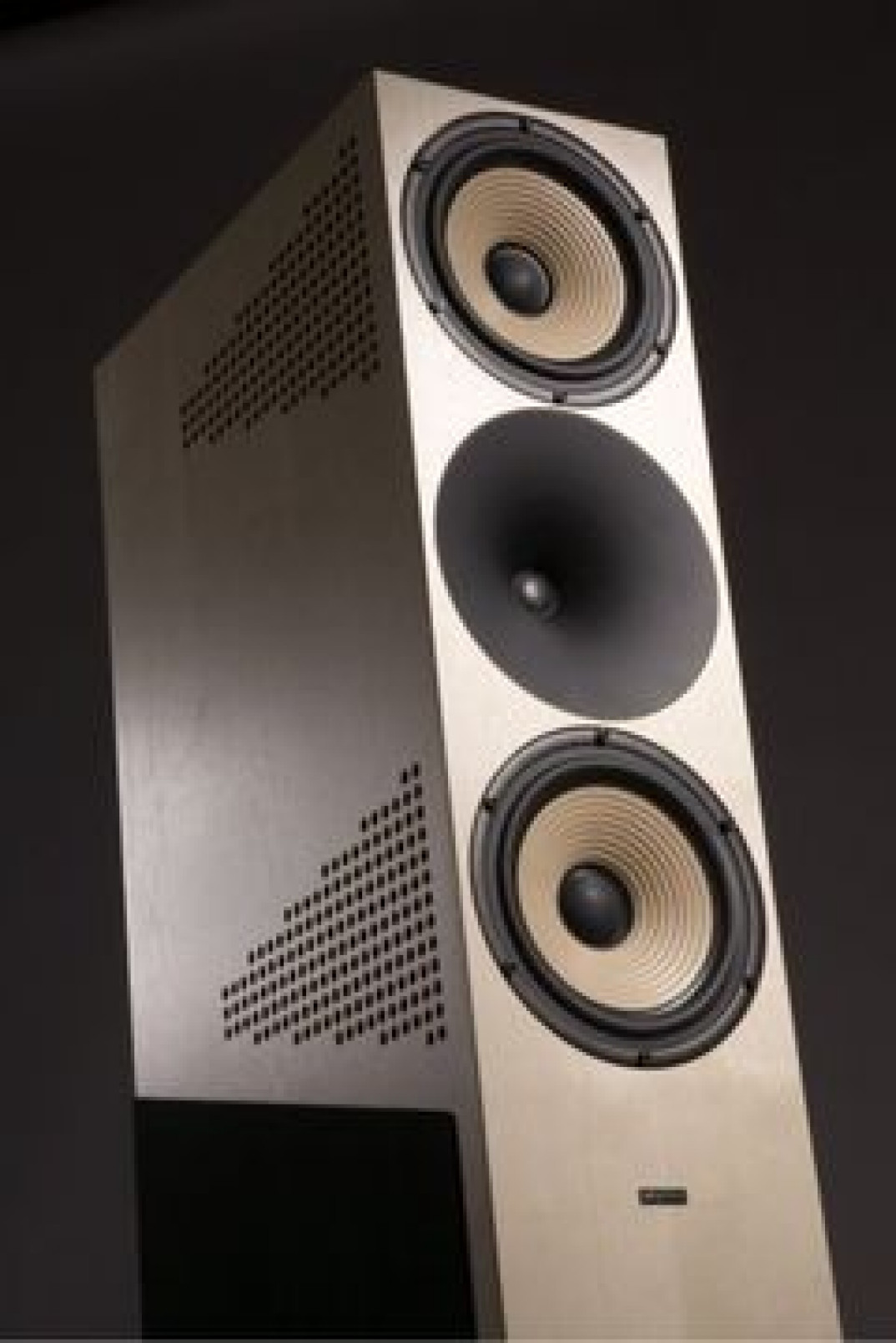 Amphion Krypton - topowy model fińskiego producenta w Premium Sound