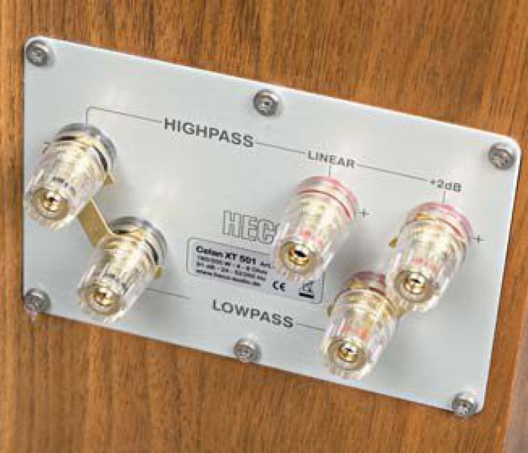 Na czym polega bi-amping i jakie są jego warianty?