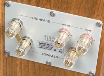 Na czym polega bi-amping i jakie są jego warianty?