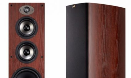 Kolumny Polk Audio TSx
