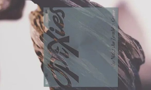 The Night The Zombies Came