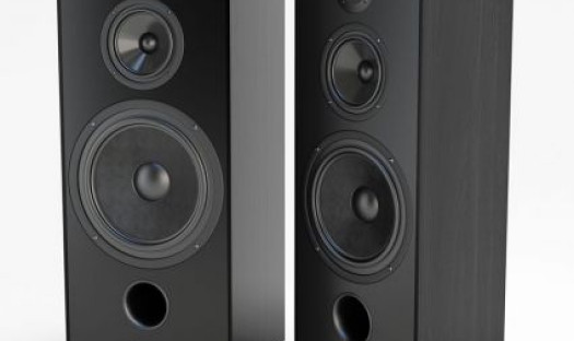 Najnowsza seria kolumn Pylon Audio Onyks w pabianickim salonie Q21