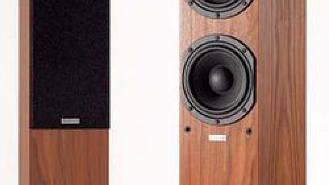 Xavian Primissima i Gran Colonna