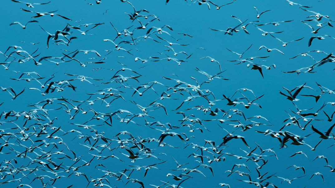 Vijay Iyer prezentuje swój nowy album - "Compassion". Premiera dziś