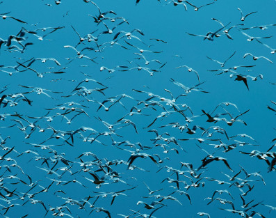 Vijay Iyer prezentuje swój nowy album - "Compassion". Premiera dziś