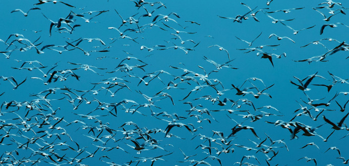 Vijay Iyer prezentuje swój nowy album - "Compassion". Premiera dziś