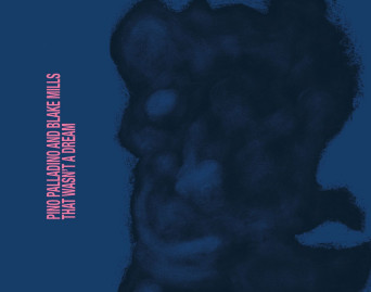 That Wasn’t a Dream