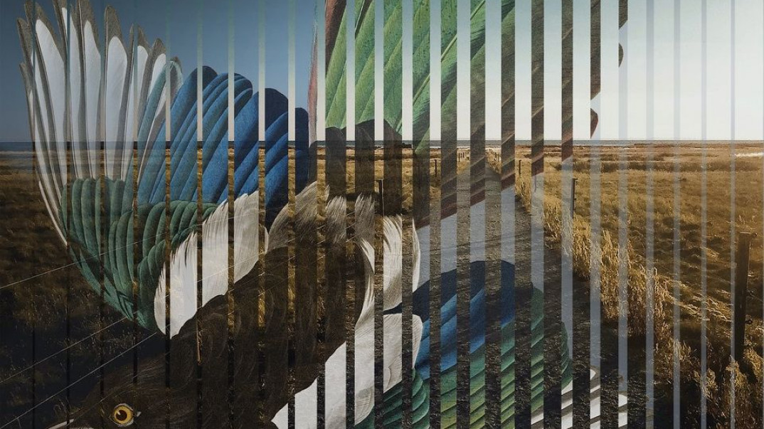 Pat Metheny i "Road To The Sun" - nowa płyta już w przedsprzedaży