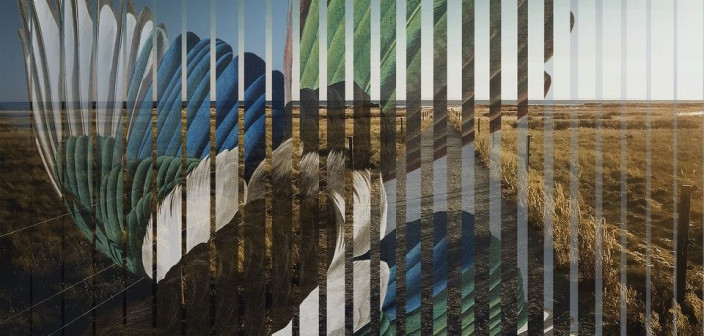 Pat Metheny i "Road To The Sun" - nowa płyta już w przedsprzedaży