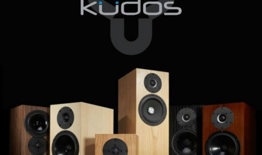 Kolumny Kudos w ofercie pabianickiego salonu Q21