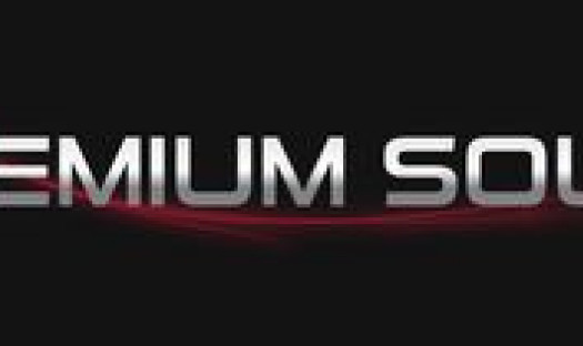 Avcon Avalanche Reference w Premium Sound