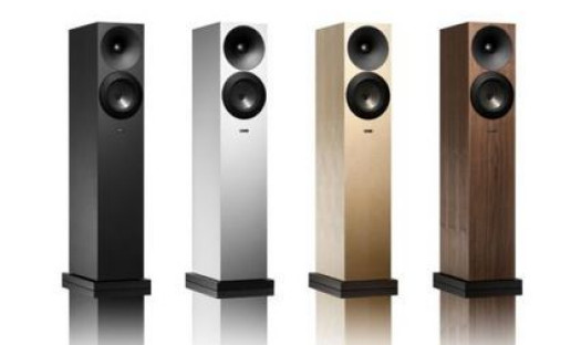 Audio Styl dealerem kolumn Amphion