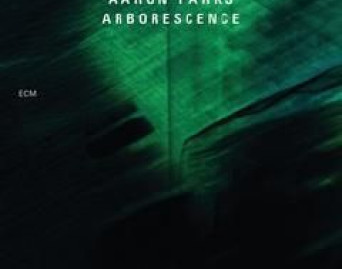 Arborescence