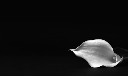 Zmarł Dariusz Prządka, współzałożyciel i współwłaściciel firmy Audio Klan