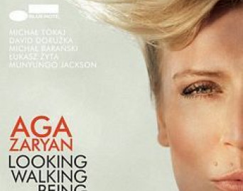 Looking Walking Being