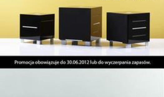 Salon Patron oferuje wybrane modele subbasów REL w obniżonych cenach