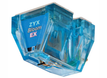 R50 Exceed Bloom