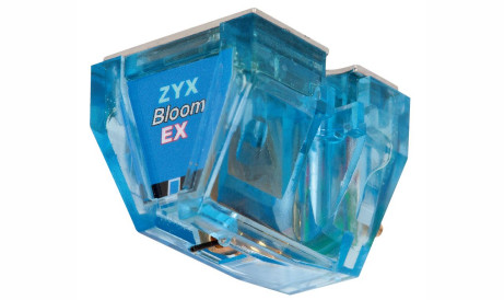 R50 Exceed Bloom