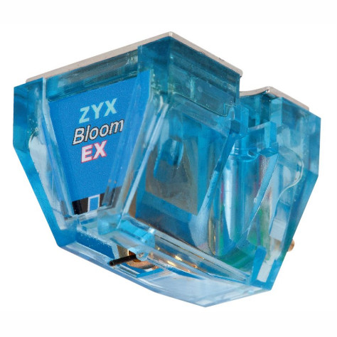 R50 Exceed Bloom