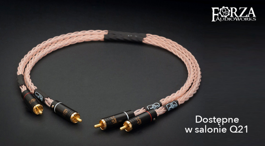 Kable Forza Audioworks w orefcie Q21