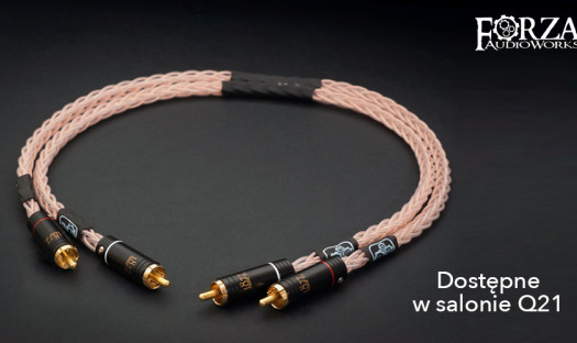 Kable Forza Audioworks w orefcie Q21