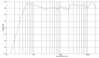 rys. 2. Model 203, charakterystyka przetwarzania w całym pasmie.