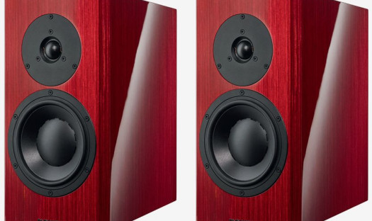 Dynaudio Special Forty/Focus XD