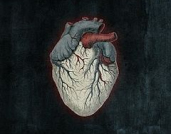 Black Gives Way To Blue