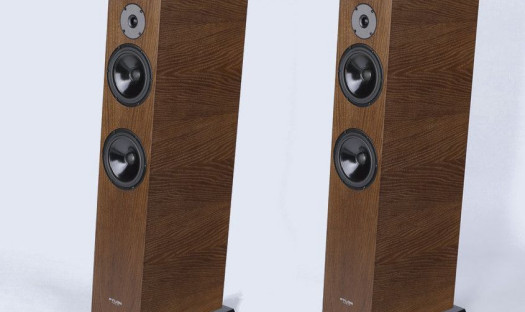 Pylon Audio Diamond 28 - salon Q21 zaprasza na odsłuchy