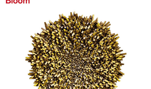 Bloom