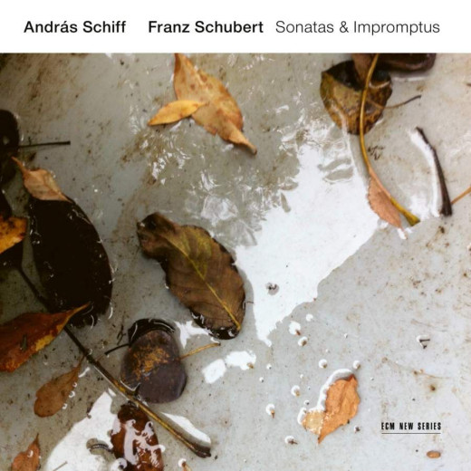 Franz Schubert: Sonatas &amp; Impromptus