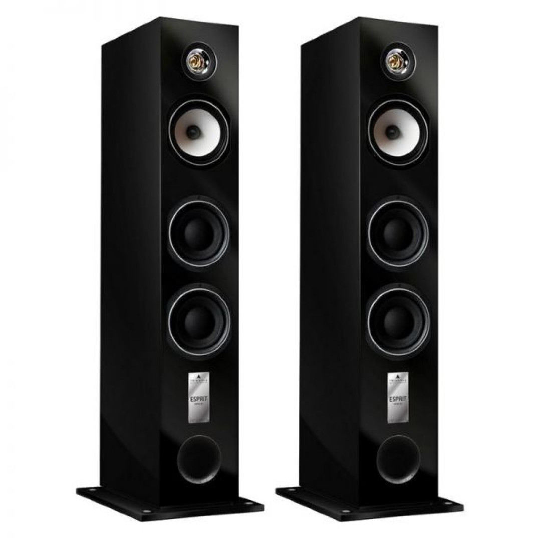 Triangle Esprit Antal EZ w lubelskim salonie audio-video Meloman