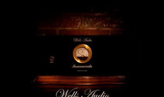 Wells Audio Innamorata na Audio Show 2013 - prezentacja audio-connect