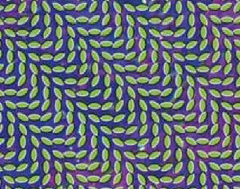 Merriweather Post Pavilion